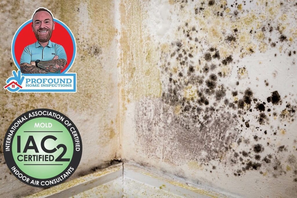 Mold Inspection in Wichita, KS & Surrounding Areas Profound Home